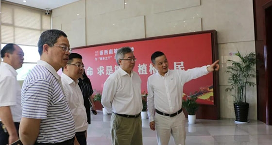 Su Wei, Deputy Secretary-General of the National Development and Reform Commission, and his entourage visited Ante Ni Dongfang Art Museum