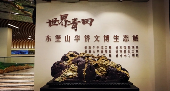 青田縣委常委、常務副縣長陶軍友一行蒞臨東堡山華僑文博生態(tài)城規(guī)劃館