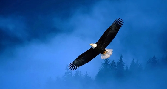 Eagles hit the sky, stone carvings in the east, Qingtian Dongbao Mountain is ready to go