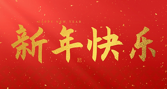安特儀表集團(tuán)有限公司祝大家2025新年快樂(lè)！