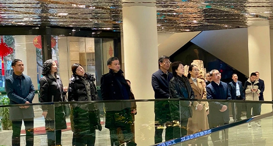 省人大副主任吳晶攜省人大調(diào)研組為東堡山博物館群項目賦能，共繪“世界青田”美好藍(lán)圖